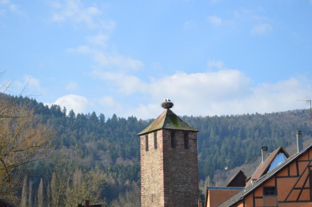 Coeur D'Alsace Appartement Kaysersberg-Vignoble Buitenkant foto